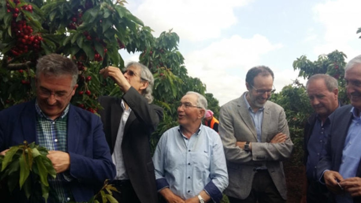 Olona y Ansón, a la izquierda, y Jose Luis Pérez, a la derecha, en una finca de cerezos de Fraga.