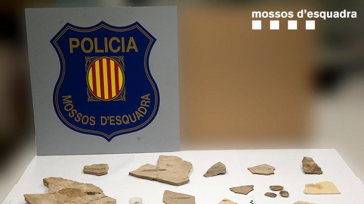Troben cinc fòssils robats a Vilanova de Meià