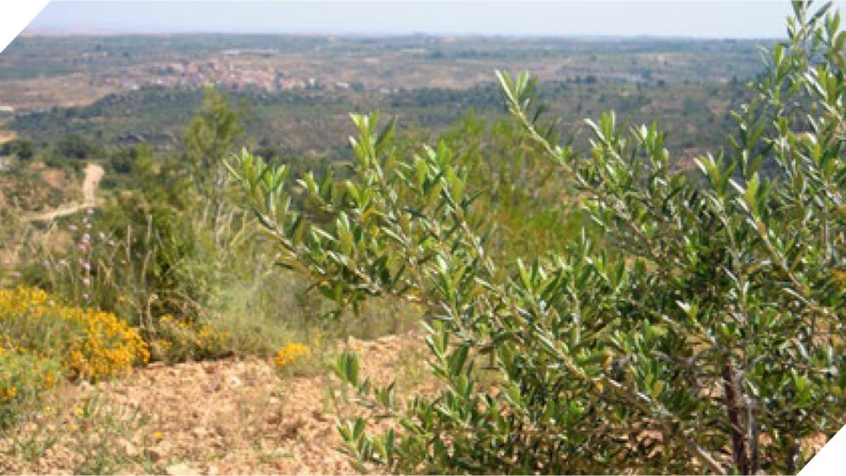 Visita guiada als mouments més emblemàtics a Alfés