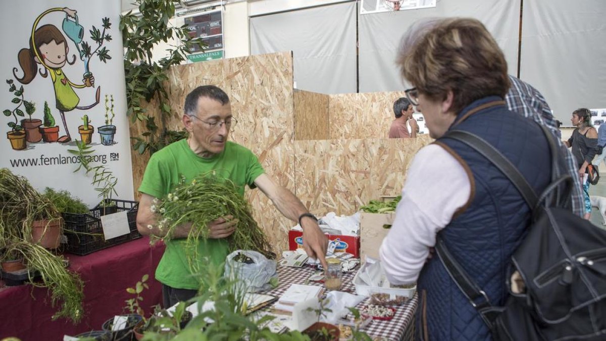 Un dels estands del certamen.