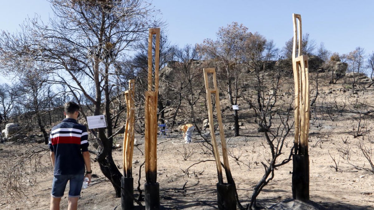 Una trentena d’artistes van començar ahir a crear a l’àrea afectada per l’incendi a prop de Maials.