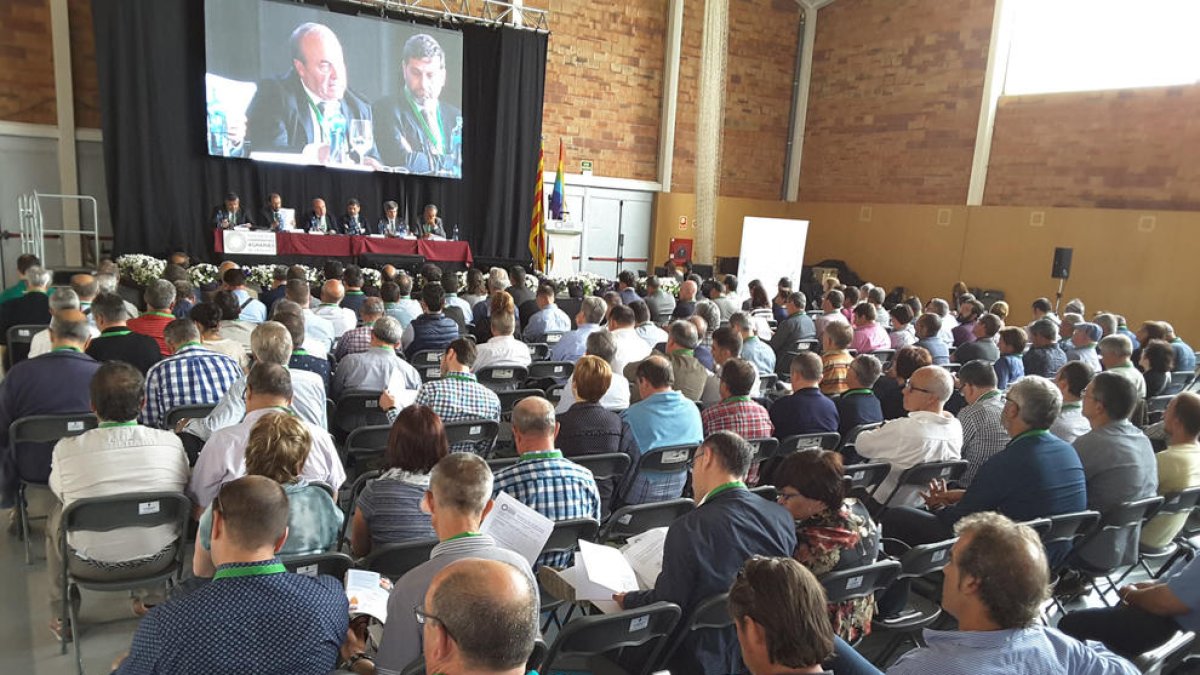 Un momento de la asamblea de la Federació de Cooperatives celebrada ayer en Bordils.