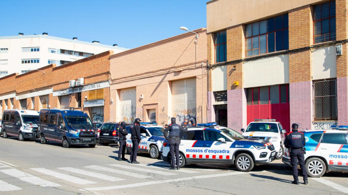 Macro operación contra el cultivo y tráfico de marihuana en Lleida