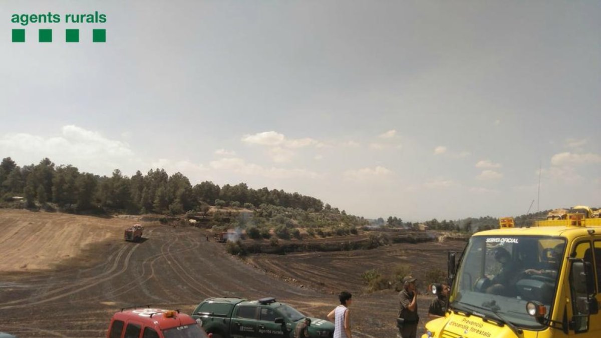 Efectivos de Rurales y Bomberos ayer en el incendio en un campo de guisantes en Maldà, en el Urgell. 