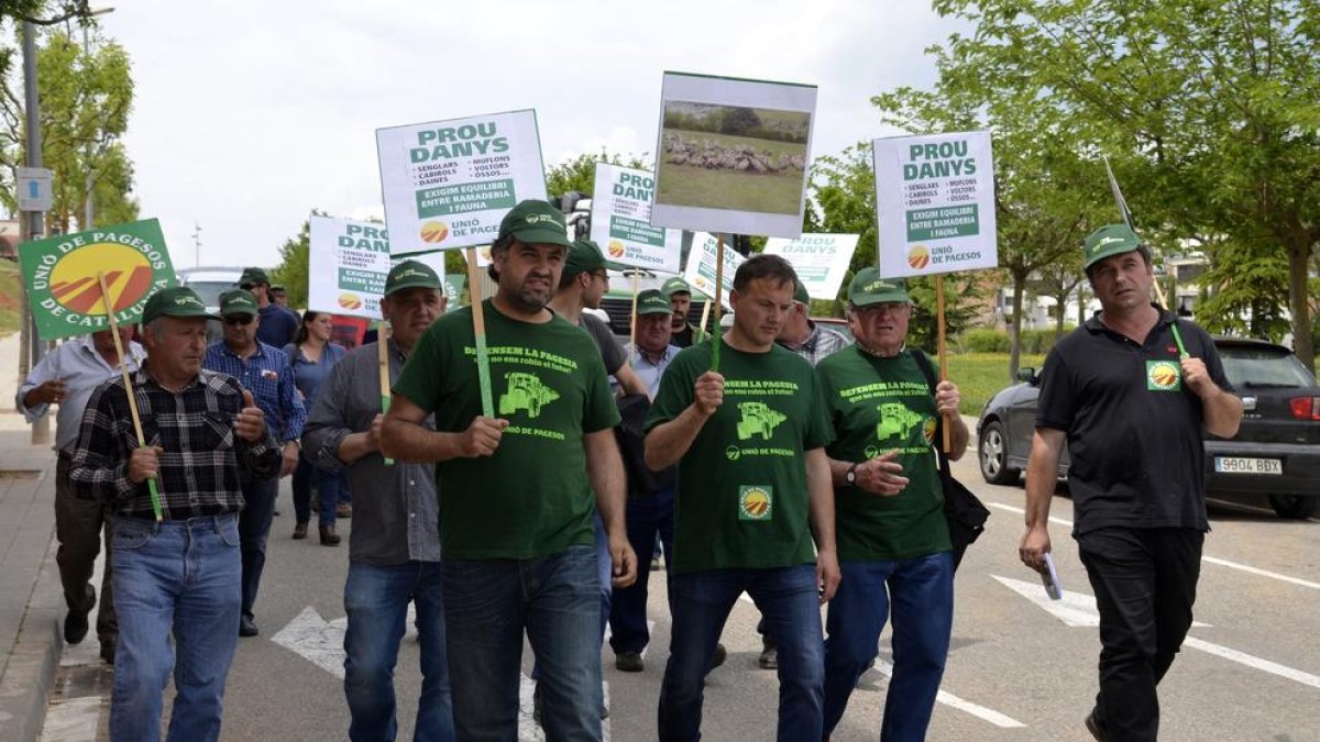 Imatge d’arxiu d’una protesta de ramaders del Pirineu per la proliferació de fauna salvatge.