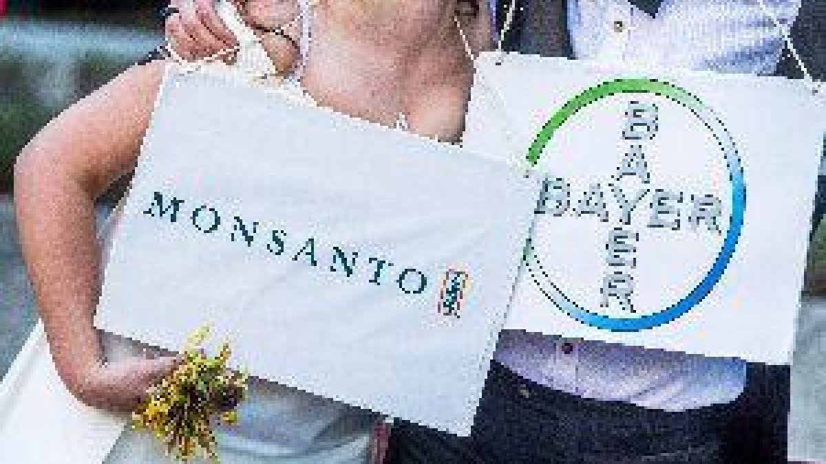 Bayer preveu tancar ben aviat l'adquisició de Monsanto després de l'autorització dels EUA