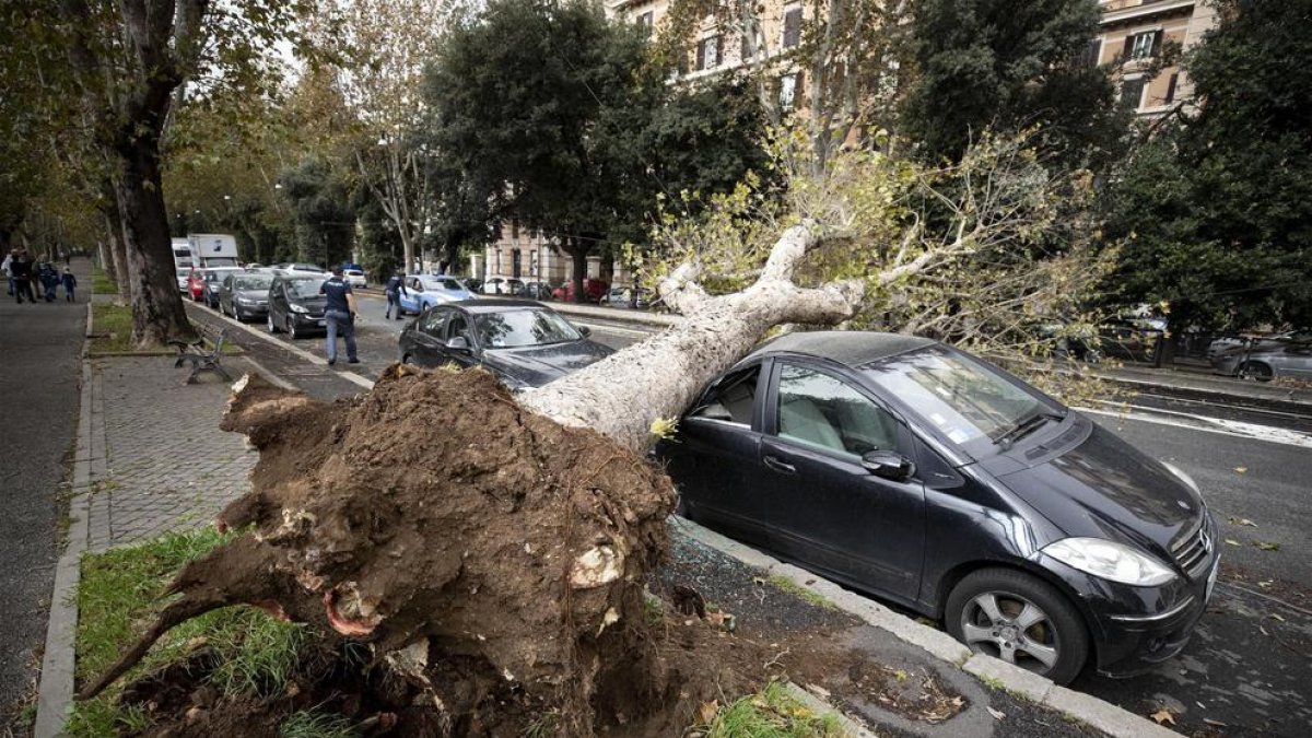 Siete fallecidos en Italia a causa de un temporal de viento y lluvia