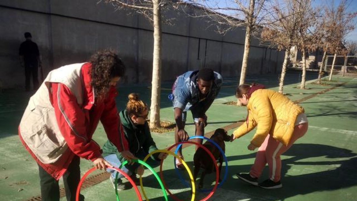 El proyecto se desarrolla con personas que se encuentran en pisos de inclusión o en albergues.