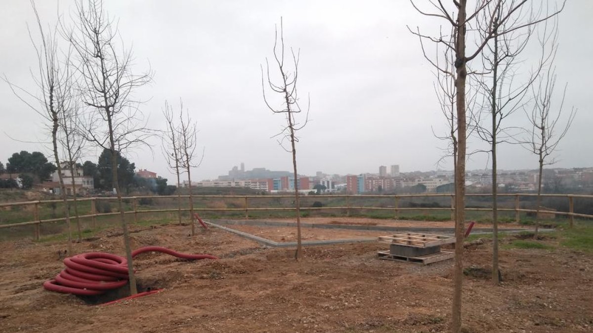 Nous arbres per als miradors del Secà de Sant Pere