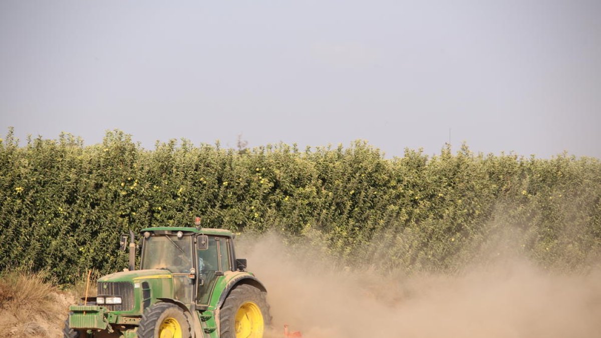 Un tractor efectúa trabajos de labranza de la tierra en una finca de Ivars d’Urgell.