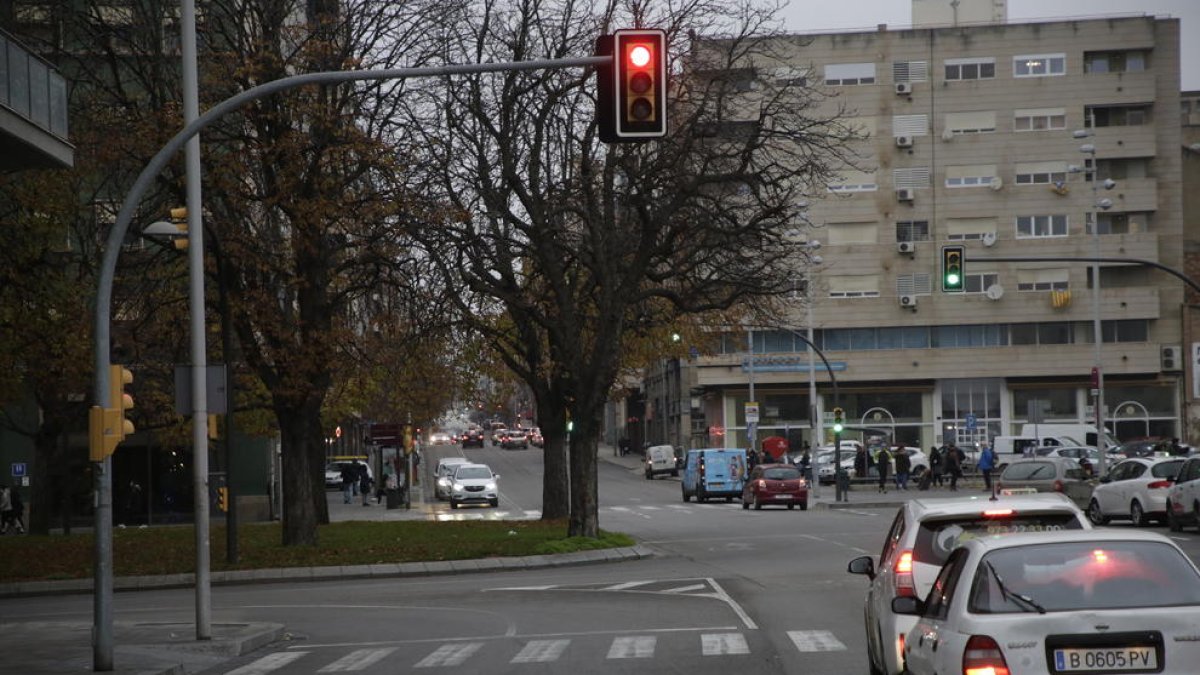 En el centro, los dos árboles de la plaza Ramon Berenguer IV que la Paeria reubicará. 