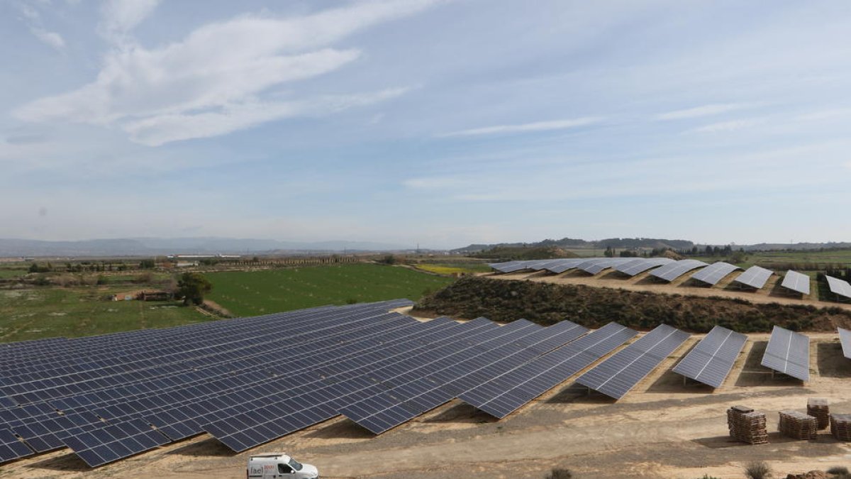 Paneles solares instalados recientemente en el término municipal de Almacelles. 