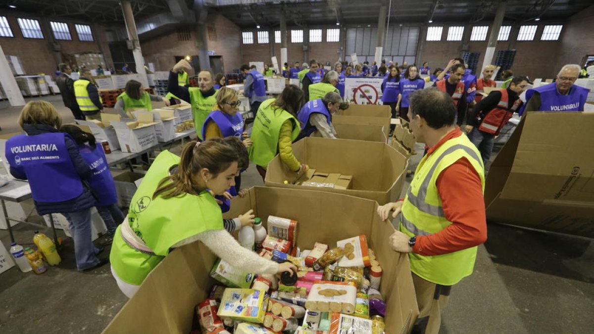 Voluntarios clasificando alimentos tras un ‘Gran Recapte’.  