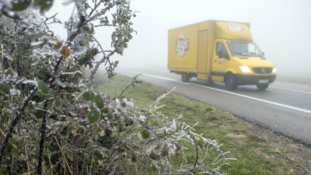 Imagen de arbustos helados y la niebla ayer por la mañana en Sant Ramon. 