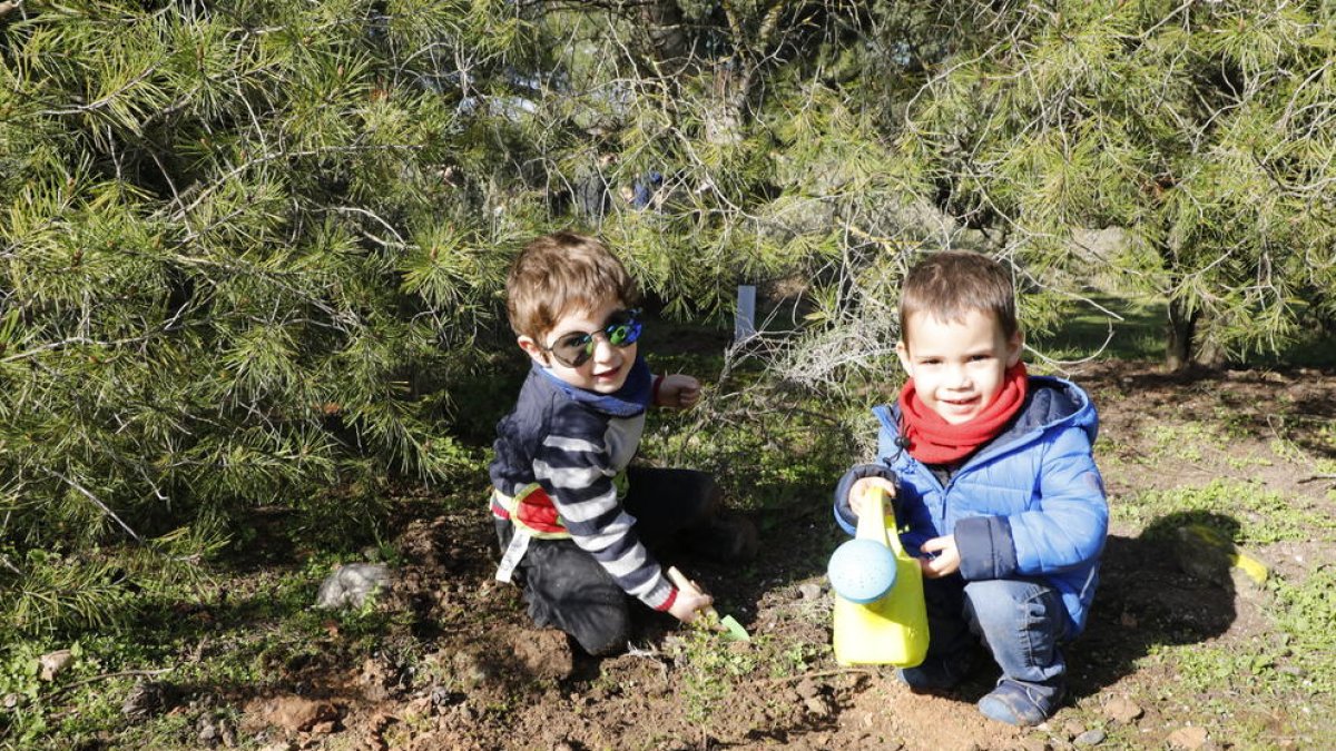 Famílies lleidatanes fan una plantada d’arbres al Turó de Gardeny