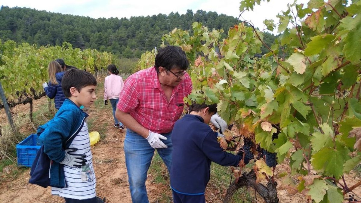 Imatge d’arxiu d’una activitat a Mas Blanch i Jové.