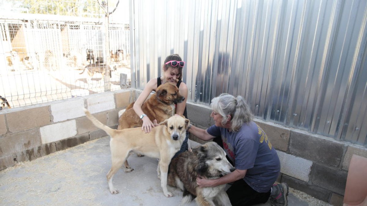 Les protectores acullen la majoria d’animals abandonats. A la foto, la de Lydia Argilés, a Lleida.