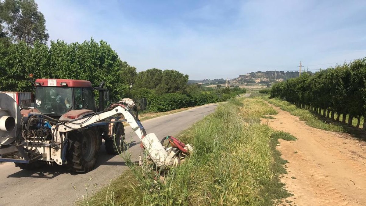 Una máquina limpia la vegetación de uno de los caminos.