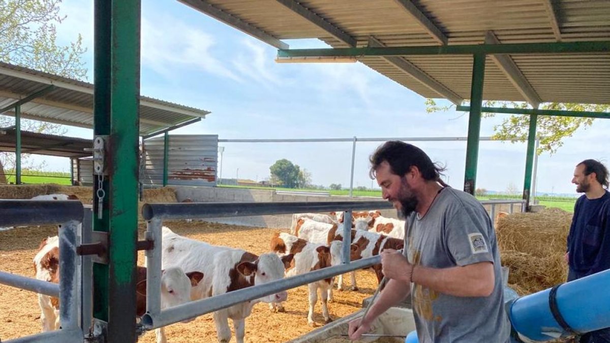 El ramader Jesús Romero i el veterinari Juan Tutusaus, ahir en una explotació d’Alcarràs.