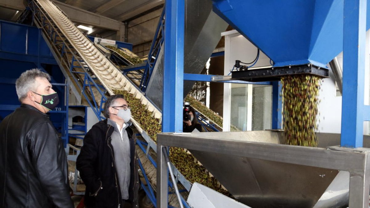 Ramon Tremosa, durante su visita a la cooperativa Sant Isidre de Juncosa.