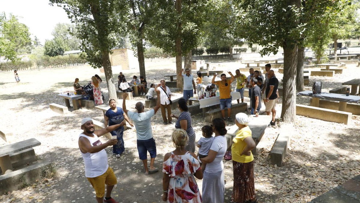 Els arbres de les Basses oferien ombra a aquells que s’atrevien a dinar a l’aire lliure.