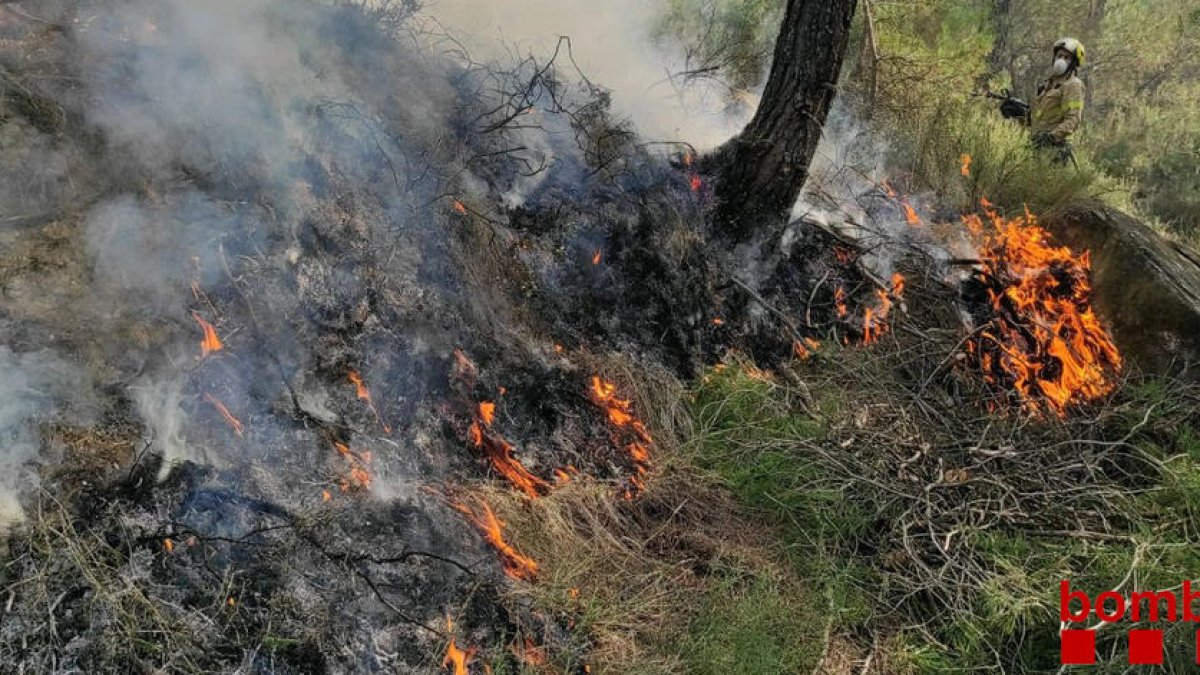 El fuego controlado, en Olius.