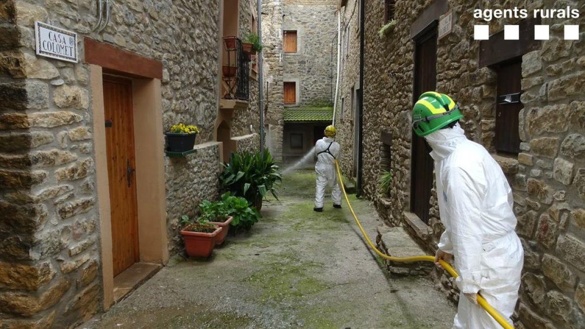 Gairebé totes les desinfeccions les han fet a petició d’ajuntaments o consells del Pirineu.