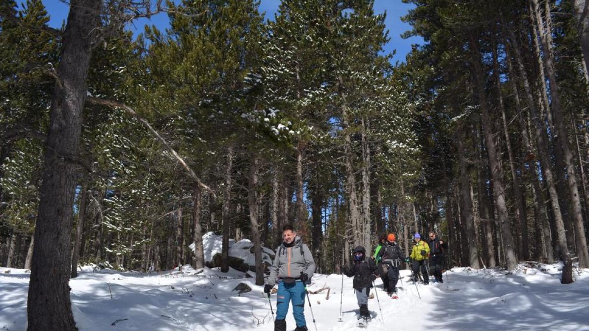 Un grupo de 40 instagramers en una salida con raquetas por los bosques de Aransa.