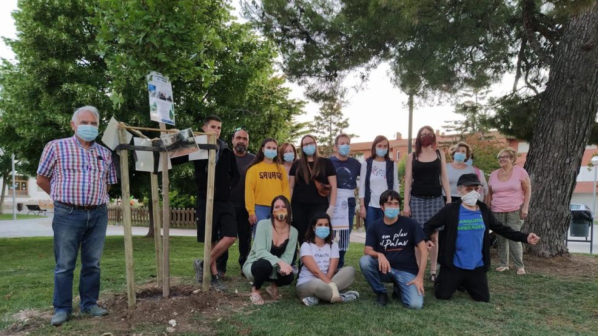 Alguns dels veïns que van participar en la replantada d’un arbre a la plaça Generalitat.