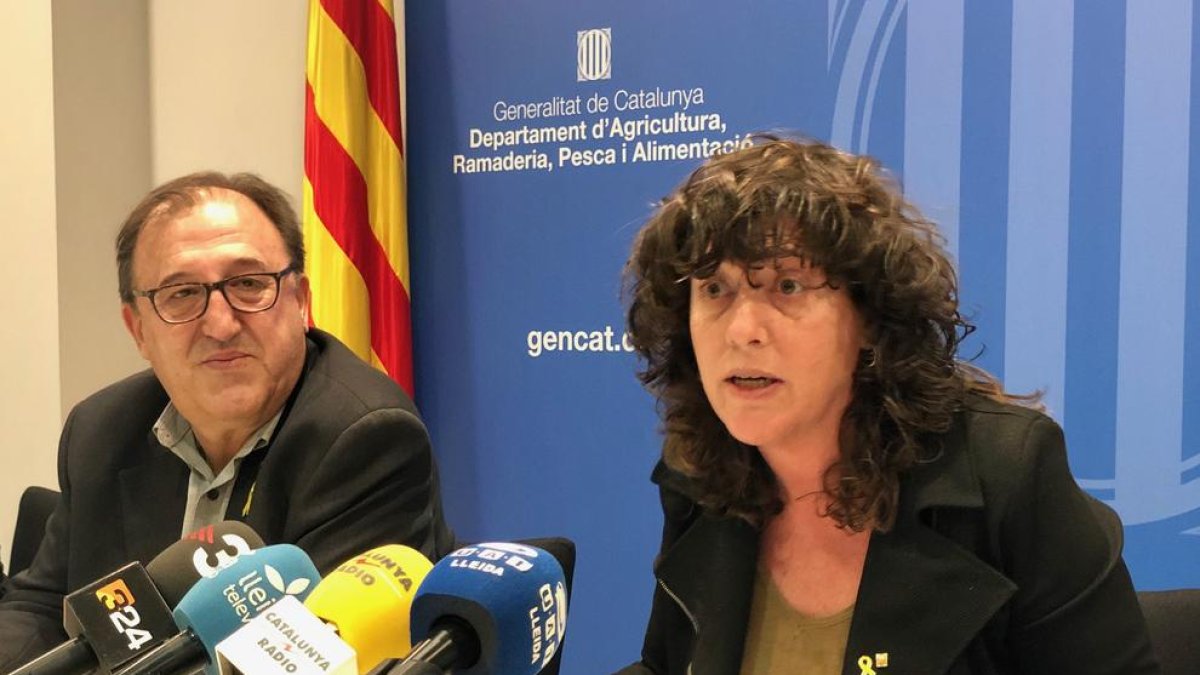 La consellera d'Agricultura, Teresa Jordà, a la roda de premsa.