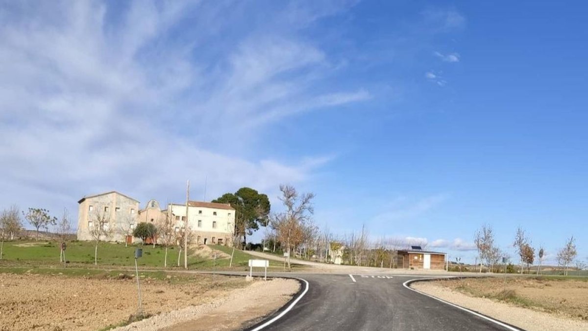 Imatge del camí de Montagut d’Alcarràs.