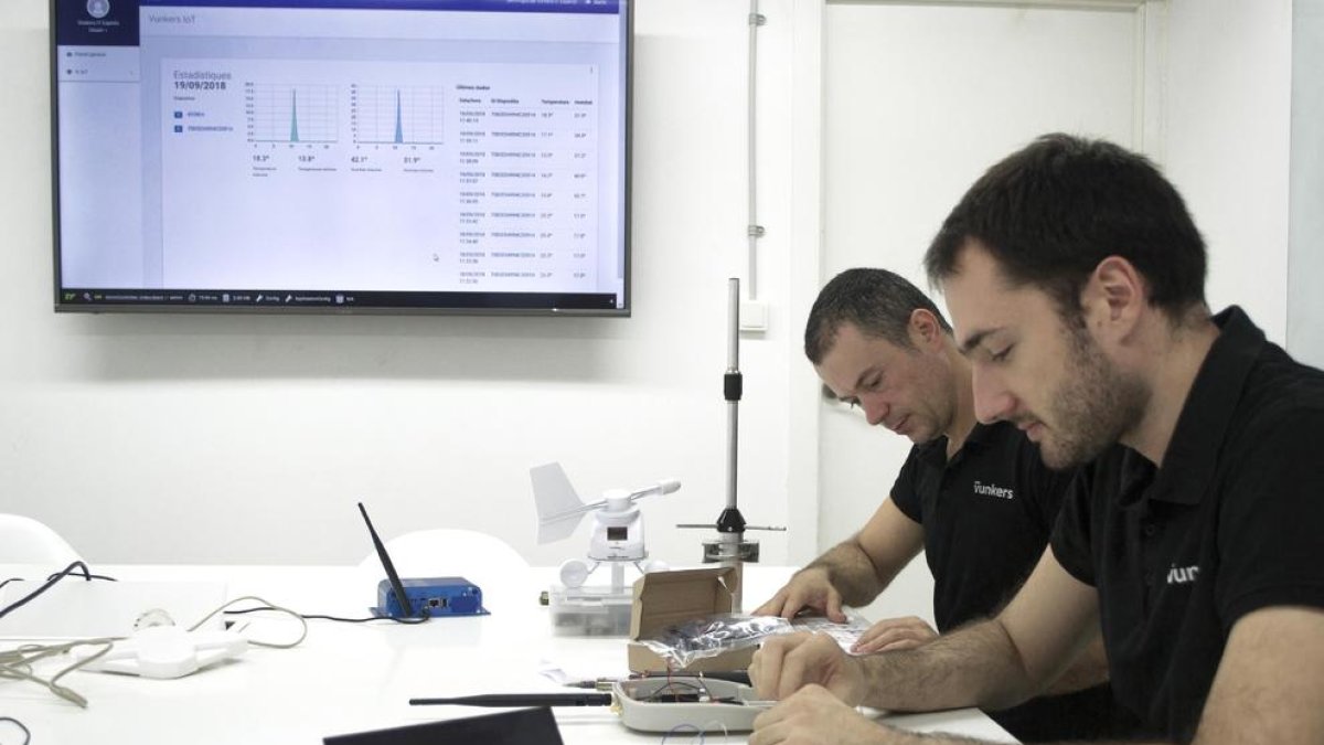 La empresa Vunkers IT Experts es una de las 14 tecnológicas con más crecimiento de España.