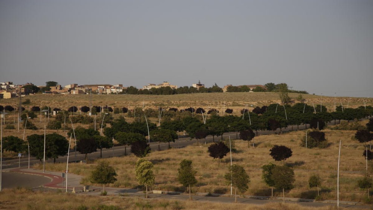 Vista de part dels terrenys de Torre Salses, amb Magraners al fons.