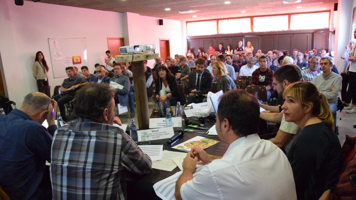 Un moment de la subhasta presidida per la consellera Jordà a l’ajuntament de Montferrer.