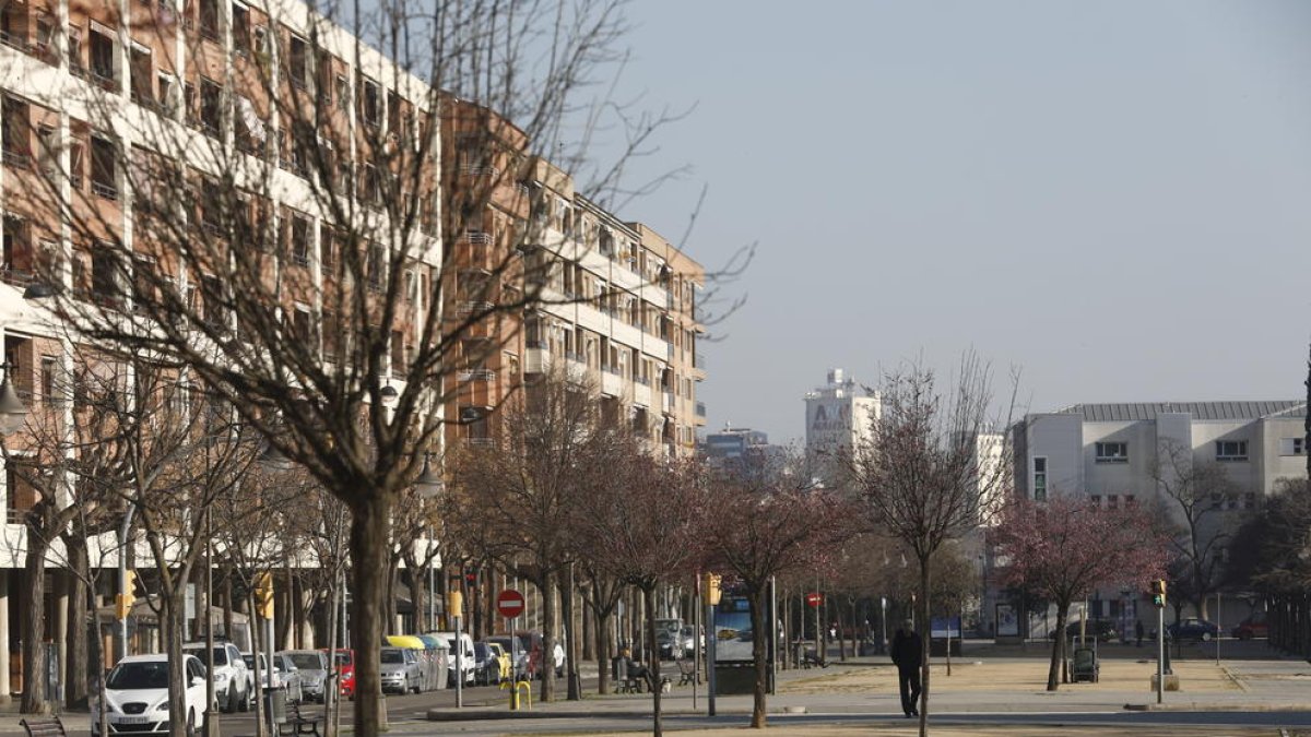 La rambla de Pardinyes és un dels carrers amb arbres morts per falta de reg, segons la Paeria.