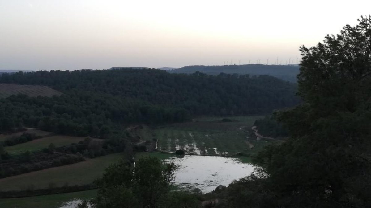 Algunos campos de Maials anegados por el agua.