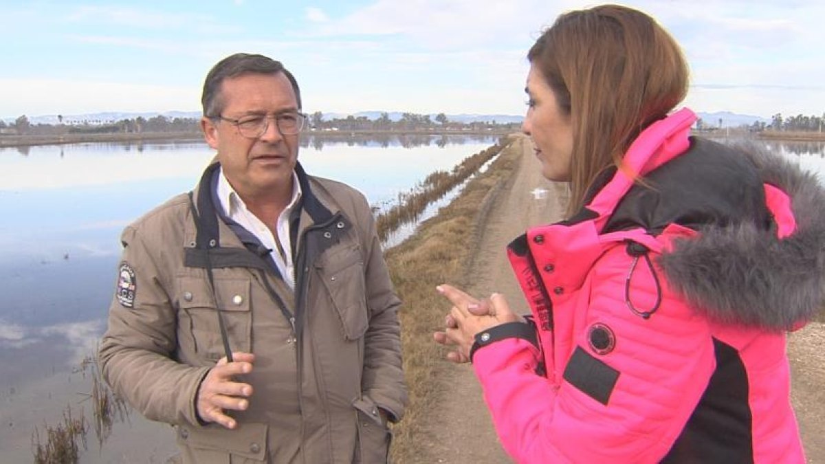 El Delta de l’Ebre sufrió un desastre natural el pasado mes de enero.