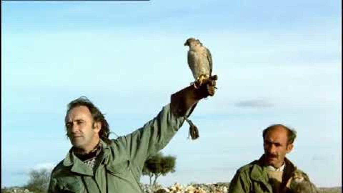 Félix amb el seu falcó pelegrí.