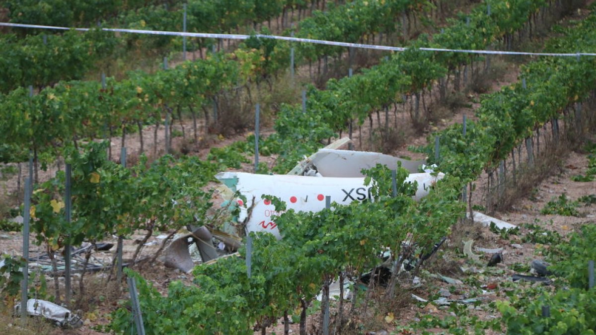 Les restes de l’avioneta es van trobar en una vinya a 90 quilòmetres de l’aeroport d’enlairament.
