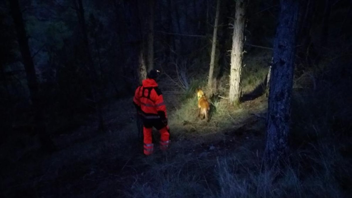 Un bombero y un perro de la unidad canina de Bomberos de la Ribagorza durante la búsqueda.