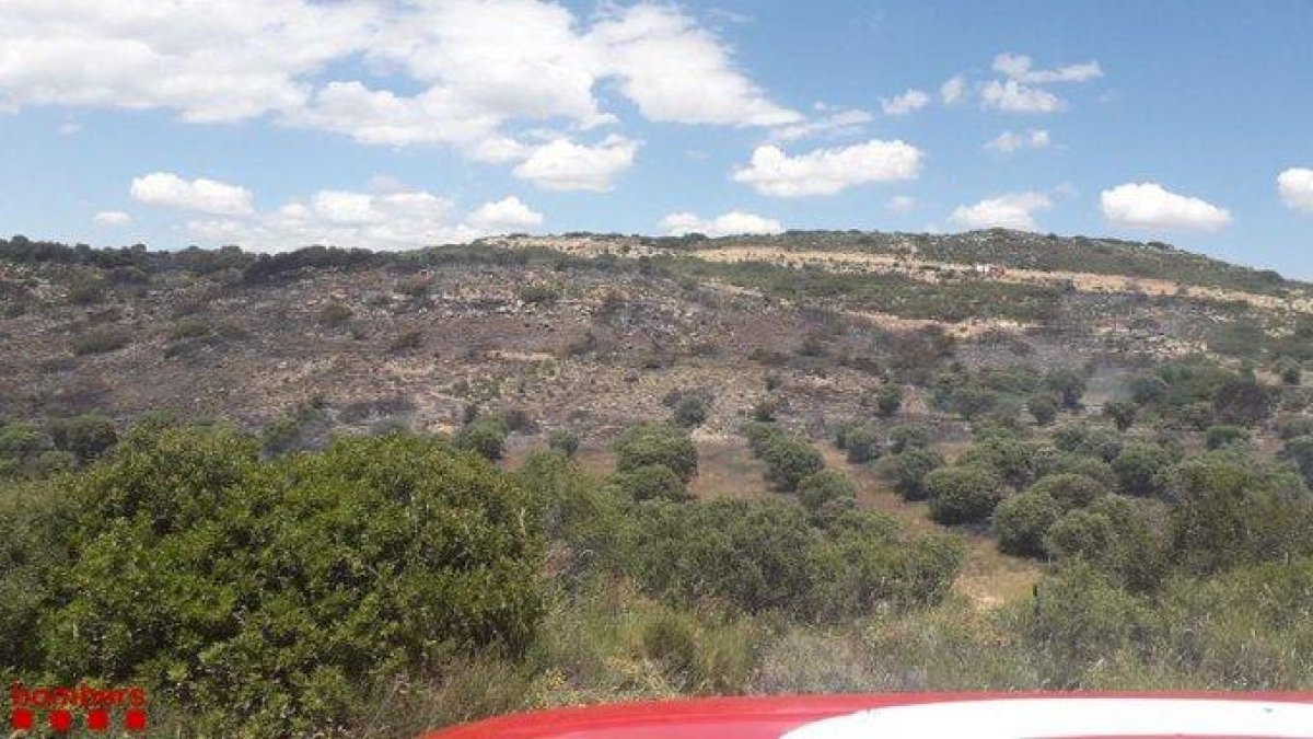 Vista general de la zona afectada ayer por el incendio de vegetación agrícola en Llardecans. 