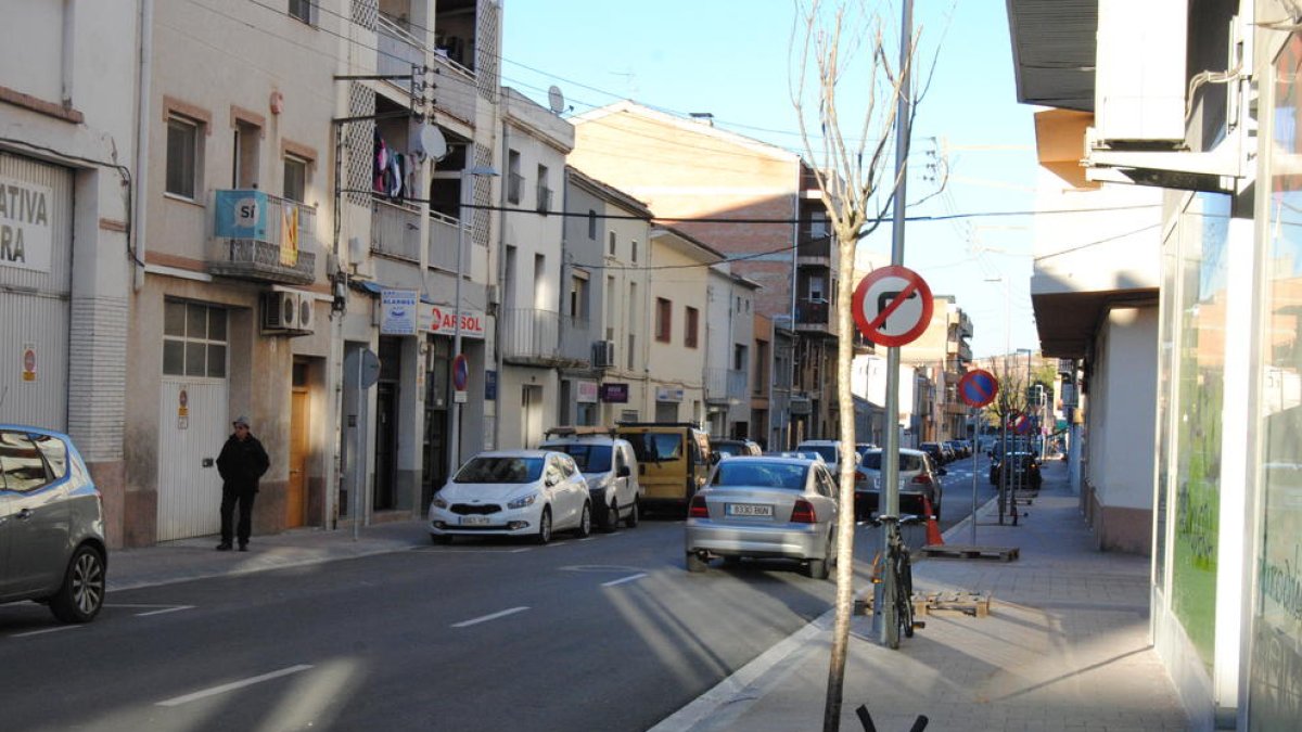 El nuevo arbolado en la avenida Catalunya. 