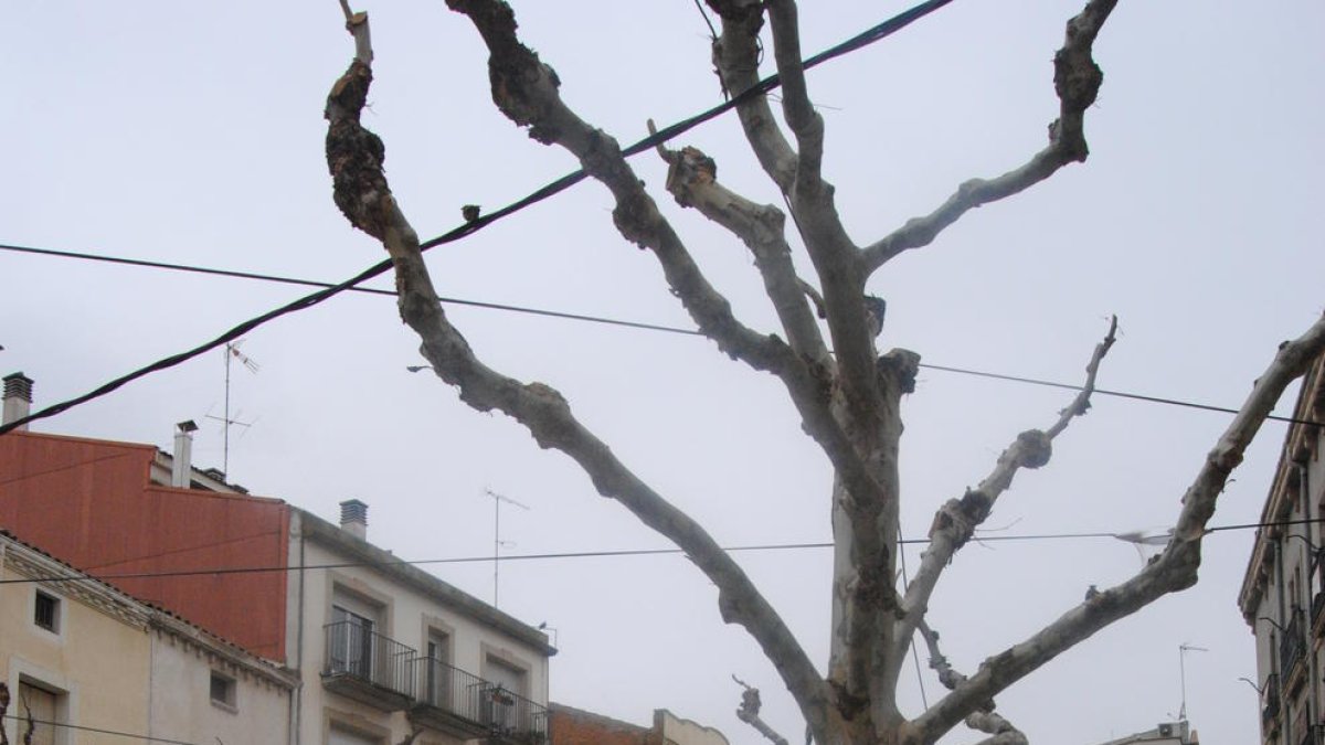 La plaça Major, una de les últimes zones reformades del centre.