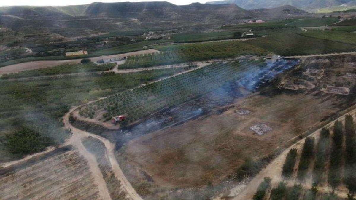 Incendio de vegetación agrícola ayer entre La Granja y Maials. 