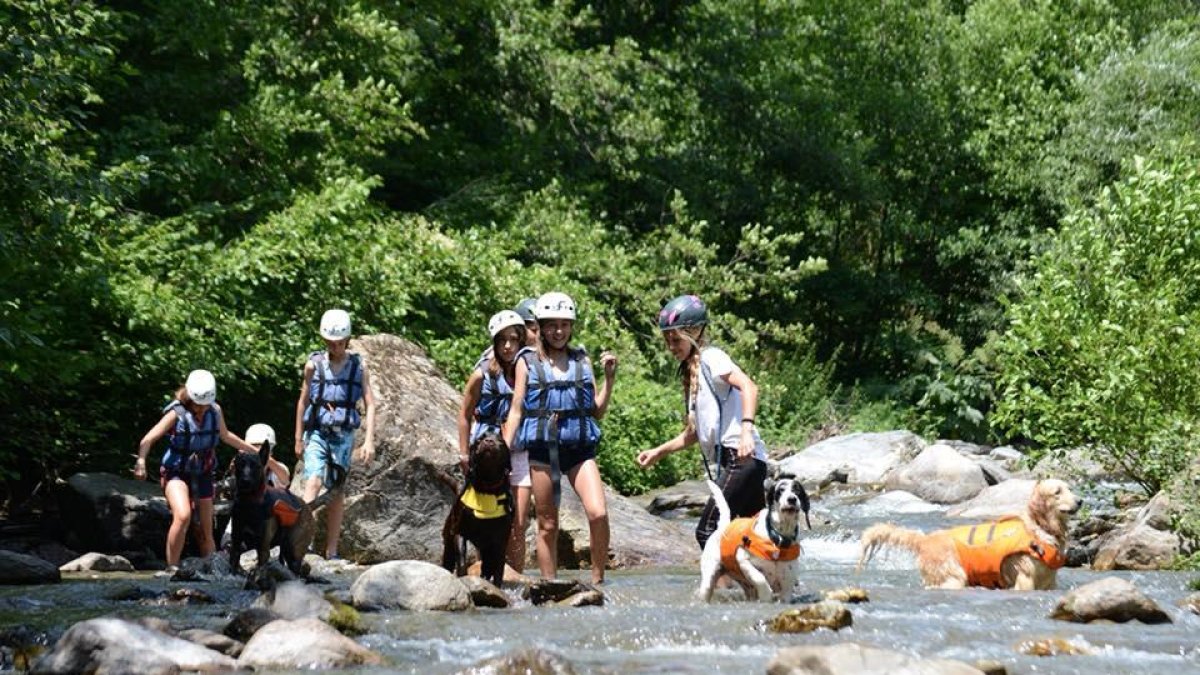 Imatge d’arxiu d’unes colònies a Salàs de Pallars.