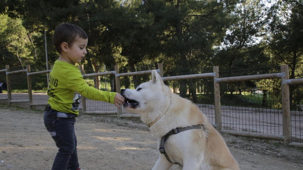 Imagen de archivo de un niño jugando con su perro en el Parc de Santa Cecília de Lleida. 