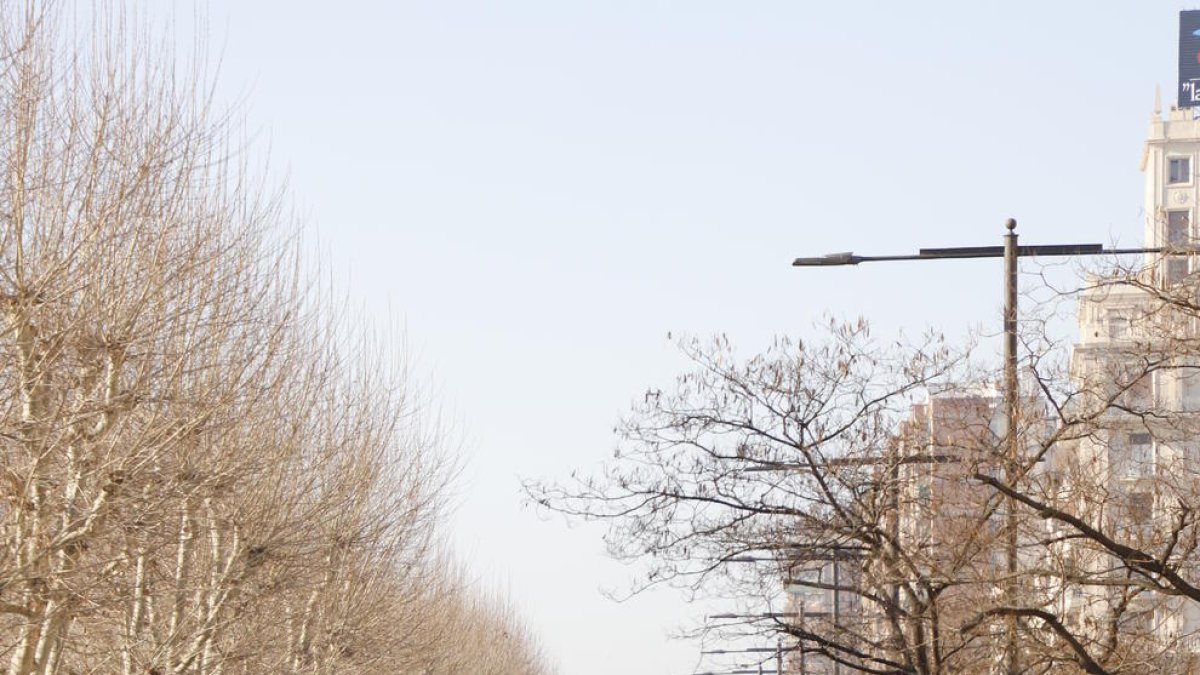 Decenas de tractores estacionados en la avenida Madrid de Lleida, ayer.