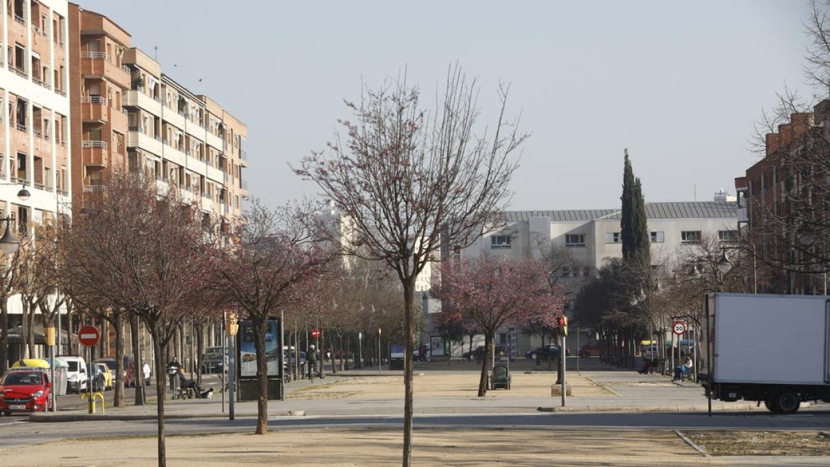 La rambla de Pardinyes és un dels carrers amb arbres morts.