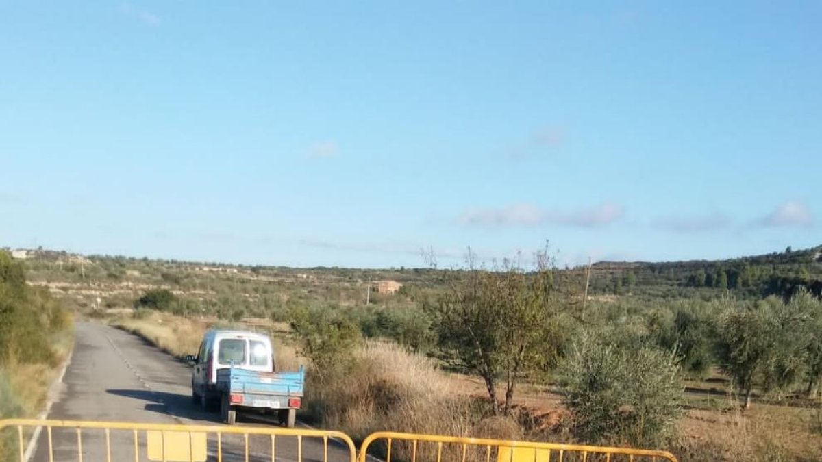 Les esquerdes que han aparegut a la carretera de Castelldans.