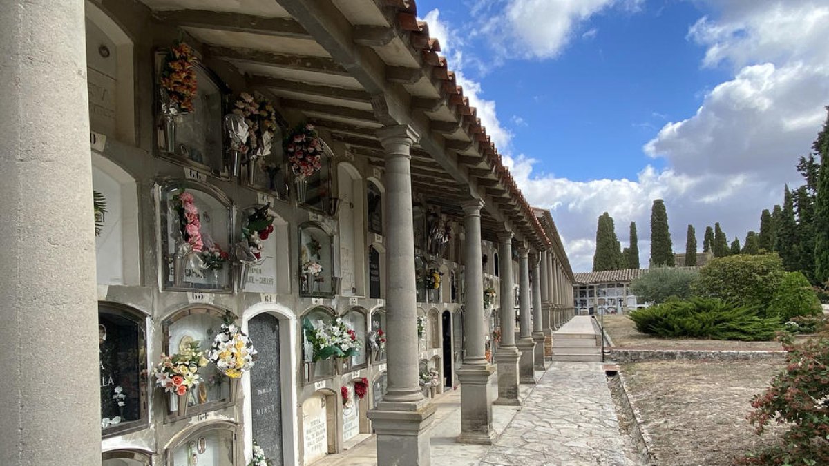 Imagen del cementerio de Cervera. 